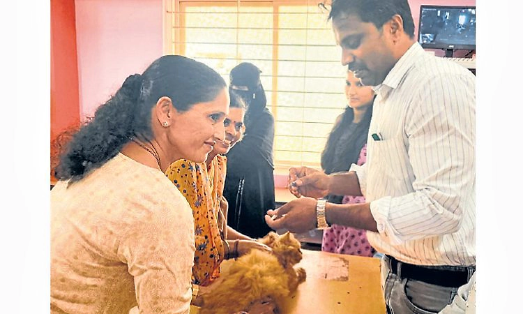 10 ಸಾವಿರ ಜಾನುವಾರುಗಳಿಗೆ ಒಬ್ಬ ವೈದ್ಯರು!