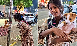 ರಸ್ತೆಬದಿಯಲ್ಲಿ ನಾಯಿಮರಿಯೊಂದಿಗೆ ಬಾಲಕಿಯ ಆಟ: ವಿಡಿಯೋ ವೈರಲ್‌