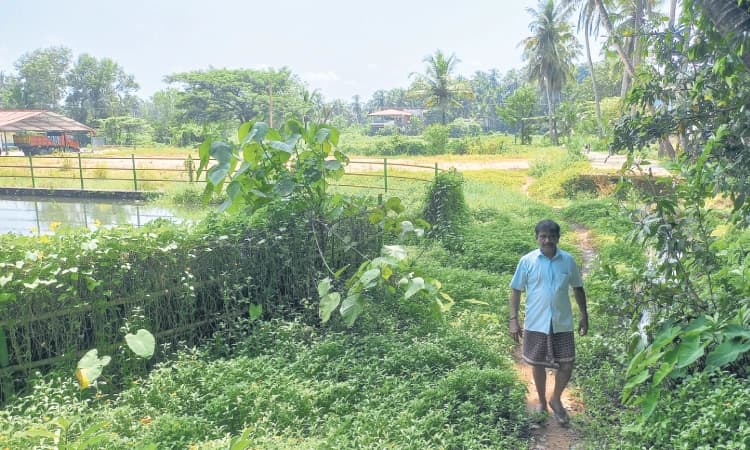 Mangaluru: ಸ್ಮಾರ್ಟ್‌ ಸಿಟಿಯೊಳಗಿದ್ದರೂ ಸೌಕರ್ಯವಿಲ್ಲ !