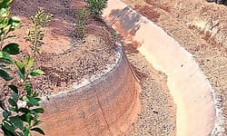 ಅಧಿಕಾರಿಗಳು ಮನಸ್ಸು ಮಾಡಿದರೆ...ಕಡತವಷ್ಟೇ ಅಲ್ಲ, ಹುಲ್ಲು ಕಡ್ಡಿಯೂ ಅಲ್ಲಾಡದು !