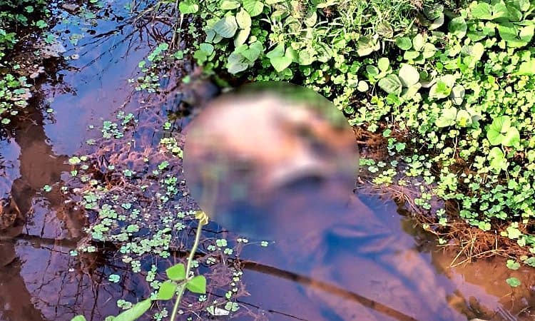 Vitla: ನಾಪತ್ತೆಯಾಗಿದ್ದ ವ್ಯಕ್ತಿ ಮೋರಿಯಲ್ಲಿ ಶವವಾಗಿ ಪತ್ತೆ