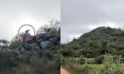 Hunsur: ನಾಗಮಂಗಲದ ಬಳಿ ಹುಲಿ ಪ್ರತ್ಯಕ್ಷ: ಗ್ರಾಮಸ್ಥರಲ್ಲಿ ಆತಂಕ