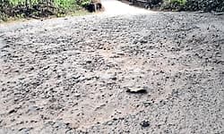 Surathkal: ನಗರದ ಪಕ್ಕದಲ್ಲಿದ್ದರೂ ಮೂಲ ಸೌಕರ್ಯ ವಂಚಿತ!