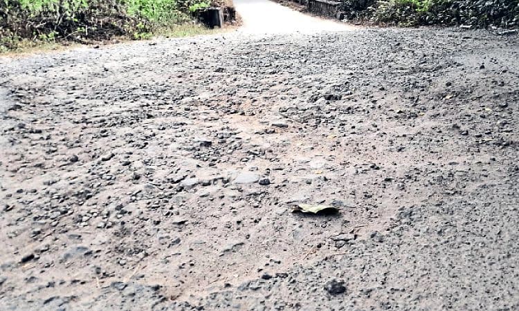 Surathkal: ನಗರದ ಪಕ್ಕದಲ್ಲಿದ್ದರೂ ಮೂಲ ಸೌಕರ್ಯ ವಂಚಿತ!