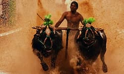 Mangaluru: ಪಿಲಿಕುಳದಲ್ಲಿ "ಕಂಬಳ ಭವನ' ಜಾಗ, ಅನುದಾನಕ್ಕೆ ಸಿಎಂಗೆ ಒತ್ತಾಯ