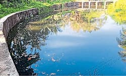 Bajpe: ಕಿಂಡಿ ಅಣೆಕಟ್ಟುಗಳಿಗೆ ಬಿತ್ತು ಹಲಗೆ