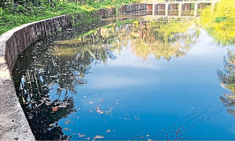 Bajpe: ಕಿಂಡಿ ಅಣೆಕಟ್ಟುಗಳಿಗೆ ಬಿತ್ತು ಹಲಗೆ