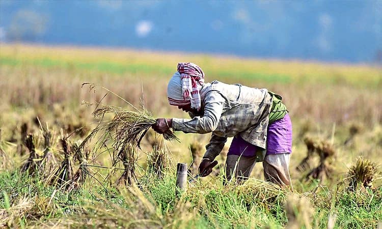 ಭಾರತವೇ ಜಗತ್ತಿನ ಅನ್ನದ ಬಟ್ಟಲು