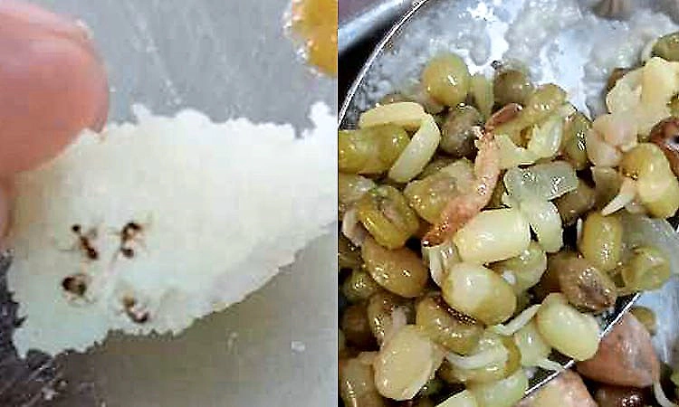 Several NITK Surathkal first-year students fall ill after suspected food contamination