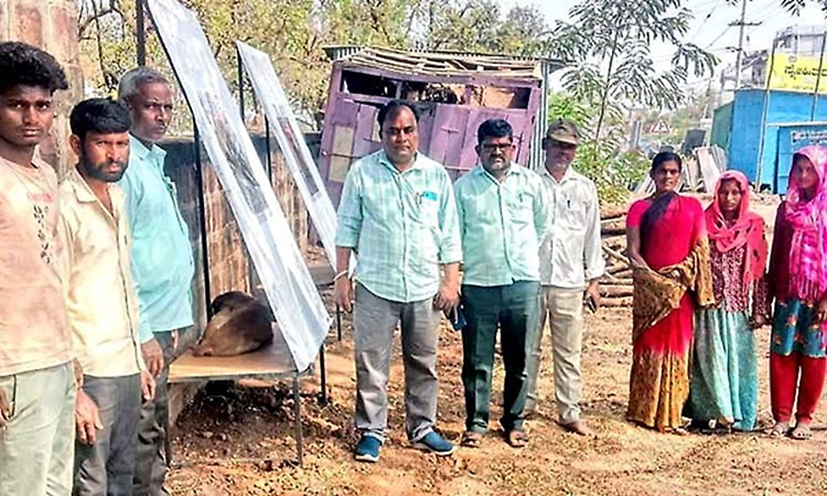 Street dog shelter set up at Kulageri Cross, claimed to be first at gram panchayat level