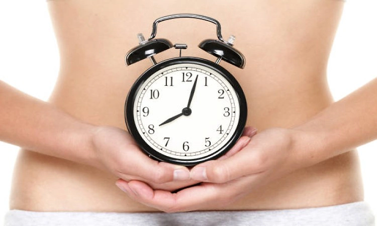 Liver releases proteins in line with body clock; irregular eating disrupts rhythm: Study