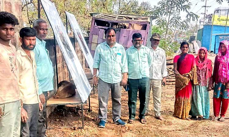 ಬೀದಿ ನಾಯಿಗಳ ಆಶ್ರಯತಾಣ ನಿರ್ಮಾಣ: ಗ್ರಾ.ಪಂ ಮಟ್ಟದಲ್ಲಿ ರಾಜ್ಯದಲ್ಲಿಯೇ ಪ್ರಥಮ