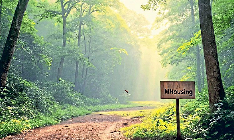 Sullia: ನಿವೇಶನ ಜಾಗಕ್ಕೆ ಅರಣ್ಯ ಸಂಕಟ!