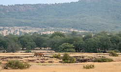 Aravallis lost 13.8% soil per year during 2017-2024: Study