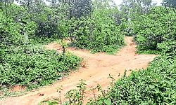 ಕಡಬದಲ್ಲಿ ಕೋರ್ಟ್‌ ಶೀಘ್ರ ಆರಂಭ