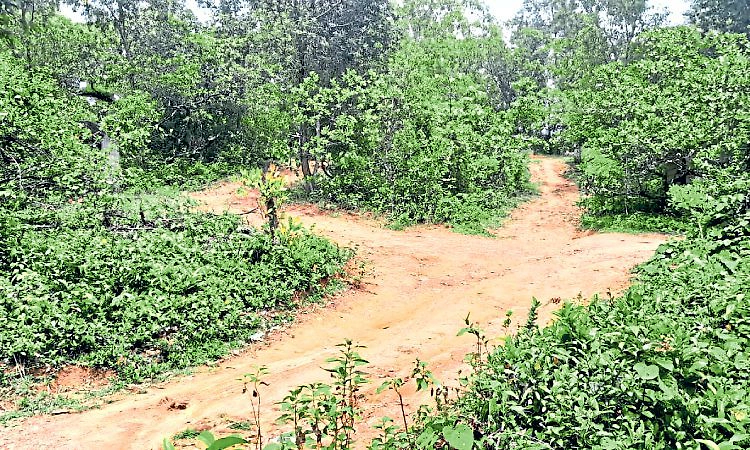 ಕಡಬದಲ್ಲಿ ಕೋರ್ಟ್‌ ಶೀಘ್ರ ಆರಂಭ