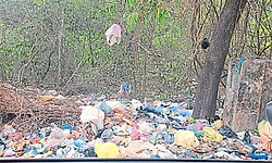 Ullal ತಾಲೂಕು: ಹೆಚ್ಚುತ್ತಿರುವ ತ್ಯಾಜ್ಯರಾಶಿ