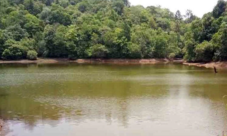 ಜೀವ ಜಲ ಸಂರಕ್ಷಣೆ: ಬಿರು ಬಿಸಿಲಲ್ಲೂ ಹಸುರು ಉಳಿಸಿದ ಕಾನಾವು ಕೆರೆ