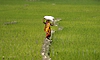 VB-G RAM G Act to come into force from July 1, MGNREGA to be repealed: Govt
