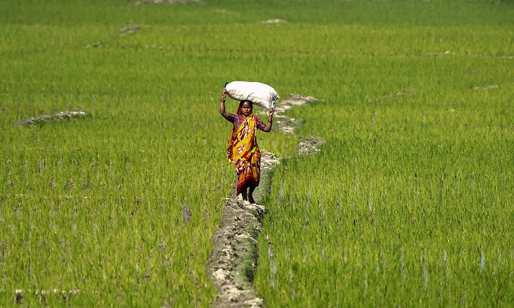 VB-G RAM G Act to come into force from July 1, MGNREGA to be repealed: Govt