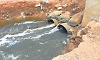 Severe mosquito menace on the banks of Phalguni river