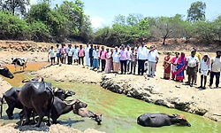 ಹೊನ್ನಾಳಿ: ಸುಂಕದಕಟ್ಟೆ ಗೋಮಾಳದಲ್ಲಿ ಲೇಔಟ್ ನಿರ್ಮಾಣಕ್ಕೆ ಆಕ್ಷೇಪ