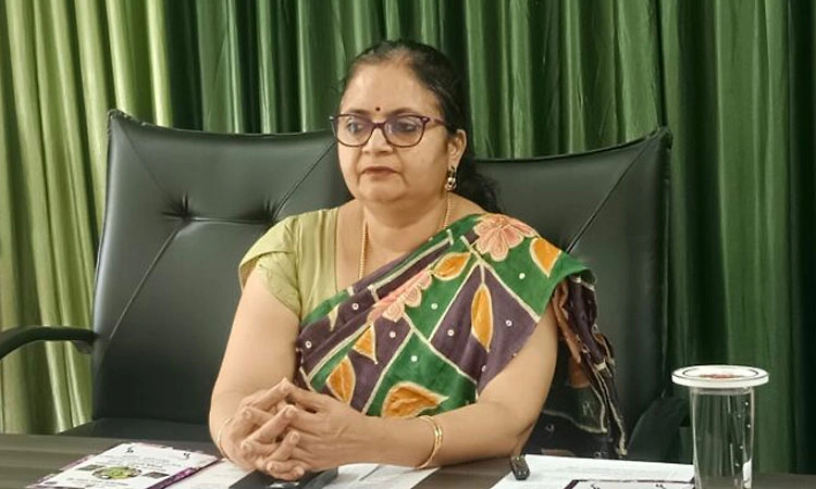 ಹಸ್ತಪ್ರತಿಗಳ ಡಿಜಿಟಲೀಕರಣ ಚುರುಕುಗೊಳಿಸಿ: ಡಿಸಿ ಕರೆ