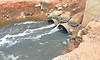 ಫಲ್ಗುಣಿ ತೀರದಲ್ಲಿ ವಿಪರೀತ ಸೊಳ್ಳೆ ಕಾಟ