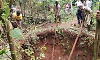 Two cattle die after falling into 20-foot open well in Chikkamagaluru