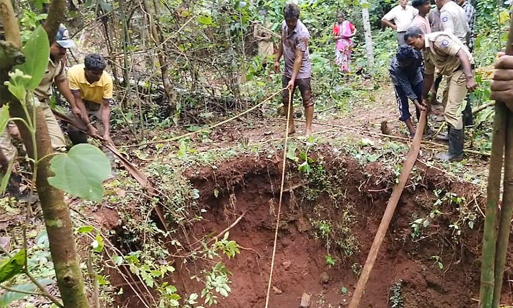 Two cattle die after falling into 20-foot open well in Chikkamagaluru