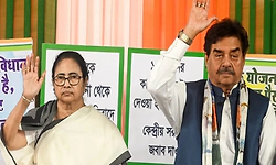 Won't desert Mamata in difficult times: TMC MP Shatrughan Sinha