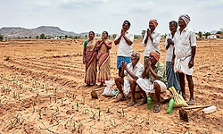ರಾಜ್ಯದ 19 ಜಿಲ್ಲೇಲಿ ಭಾರಿ ಮಳೆ ಕೊರತೆ!