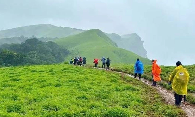 ಚಾರಣಕ್ಕೆ ಆನ್‌ಲೈನ್‌ ಬುಕ್ಕಿಂಗ್‌ ಸಮಸ್ಯೆ; ಚಾರಣಿಗರಿಗೆ ಸಂಕಷ್ಟ