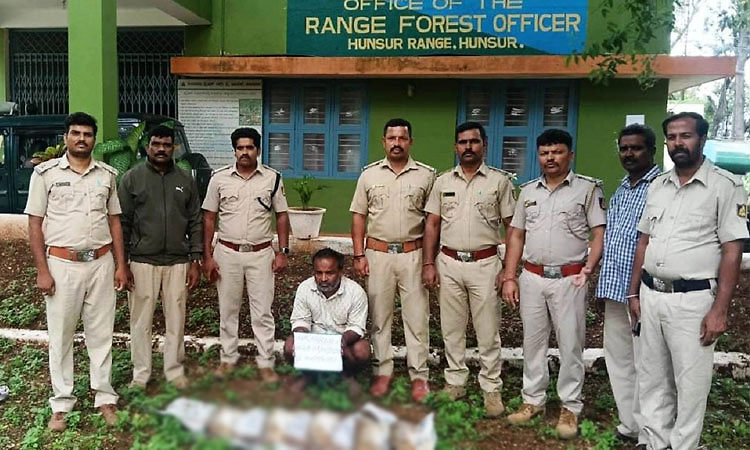 Hunsur: ಉರುಳು ಹಾಕಿ ಬೇಟೆ, 5 ಮೊಲ ವಶ, ಆರೋಪಿ ಬಂಧನ