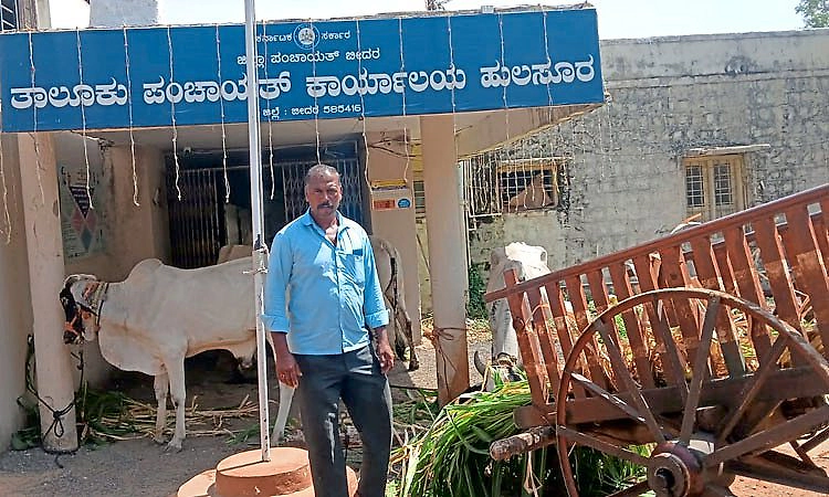 ಕೊಟ್ಟಿಗೆ ಬಿಲ್ ಡಿಲೀಟ್ ಆರೋಪ: ಎತ್ತು-ದನಗಳೊಂದಿಗೆ ತಾಲ್ಲೂಕು ಪಂಚಾಯತ್‌ಗೆ ರೈತರ ಮುತ್ತಿಗೆ