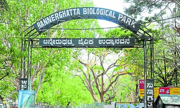 Bannerghatta Park receives 10-hectare habitat restoration under CSR initiative