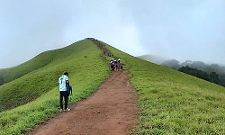 Tourist entry ban lifted at Netravati Peak and Kadamagundi Falls