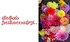 UV Fusion: ಡೇರೆಯ ಸೀಮೋಲಂಘನ..