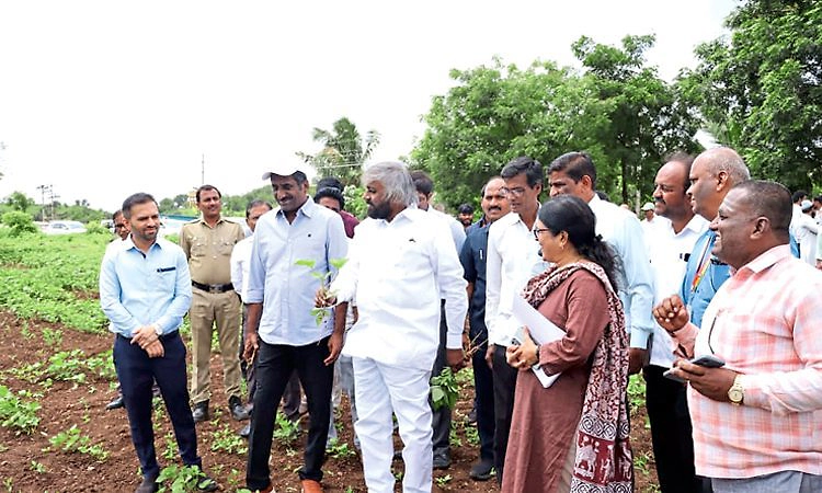 ಮಳೆ ಕೊರತೆಯಿಂದ ಹಾನಿಗೊಳಗಾದ ಬೆಳೆಗಳ ಪರಿಶೀಲನೆ