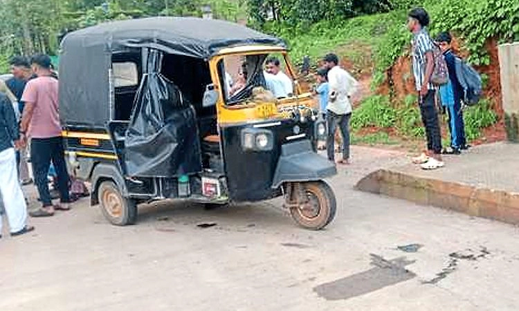 ಪಣಕಜೆ: ಶಾಲಾ ಮಕ್ಕಳ ಕರೆದೊಯ್ಯುವ ಆಟೋ ರಿಕ್ಷಾ ಪಲ್ಟಿ