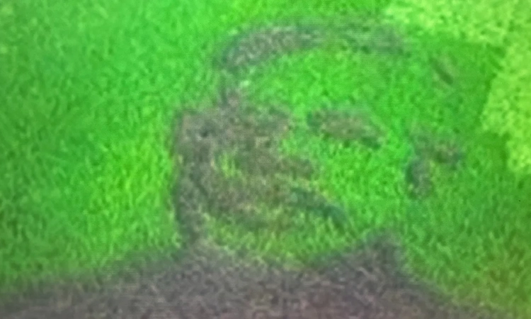 A farmer’s living canvas: Portrait of Modi grown in Wayanad’s rice field
