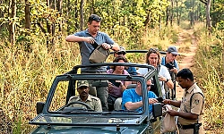 Mobile phone use banned during tiger safaris in Karnataka's reserves