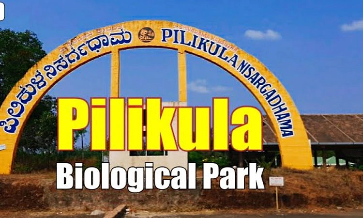 Pilikula Nisargadhama: ಪಿಲಿಕುಳ ಪ್ರವಾಸಿ ತಾಣ, ಸಿಬಂದಿ ಮಾತ್ರ ನಿತ್ರಾಣ!