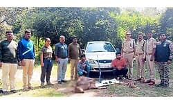 Hunsur: ನಾಗರಹೊಳೆಯಲ್ಲಿ ವನ್ಯಪ್ರಾಣಿಗಳ ಭೇಟೆ; ಇಬ್ಬರ ಬಂಧನ, ಮತ್ತೊರ್ವ ಪರಾರಿ