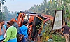 Truck carrying chickens overturns near Holehonnur; 2,000 birds die
