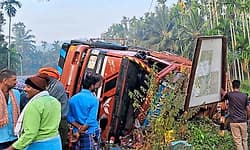 Truck carrying chickens overturns near Holehonnur; 2,000 birds die
