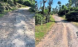 Kottigehara: ಹದಗೆಟ್ಟ ರಸ್ತೆ... ಬಣಕಲ್ ಕೋಗಿಲೆ – ದೇವರ ಮನೆ ರಸ್ತೆ ಸಂಚಾರ ದುಸ್ತರ