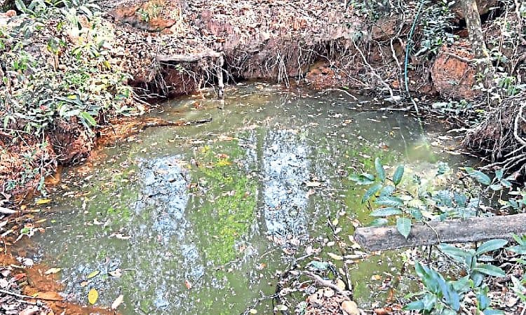 Hosangadi : ಶಾಲೆಹಕ್ಲು; ಈಗಲೇ ನೀರಿಗೆ ಬರ