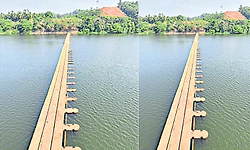 Puttur: ನೀರು ಪೂರೈಕೆಗೆ ಡೀಸೆಲ್‌ ಬಿಲ್‌ ಶಾಕ್‌!