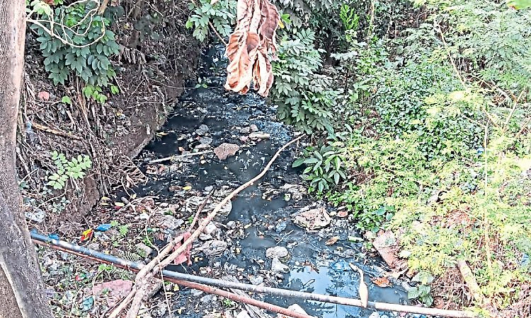 Bajpe : ಸ್ವಚ್ಛ ಬಜಪೆ ಪೇಟೆ ಆದ್ಯತೆಯಾಗಲಿ